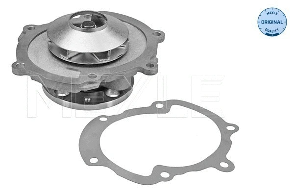 Water Pump, engine cooling (613 220 0010)