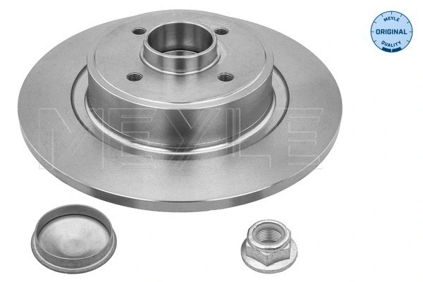Brake Disc (16-15 523 4113)