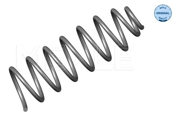 Suspension Spring (100 739 0030)