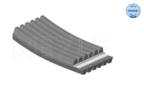 V-Ribbed Belt (050 006 1841/D)