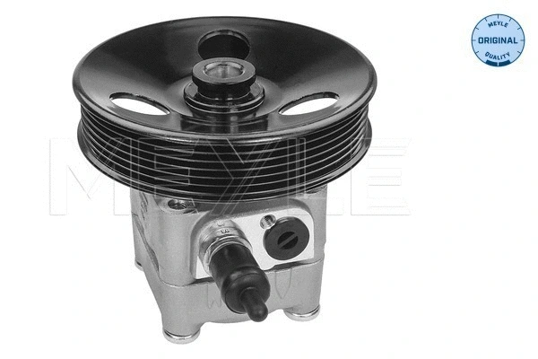 Hydraulic Pump, steering (514 631 0020)