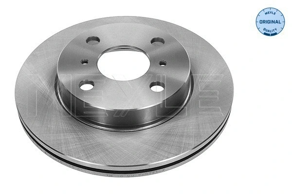 Brake Disc (30-15 521 0099)