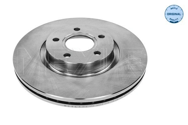 Brake Disc (515 521 5027)