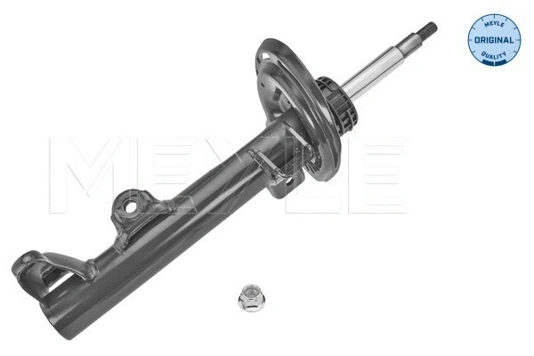 Shock Absorber (026 623 0025)
