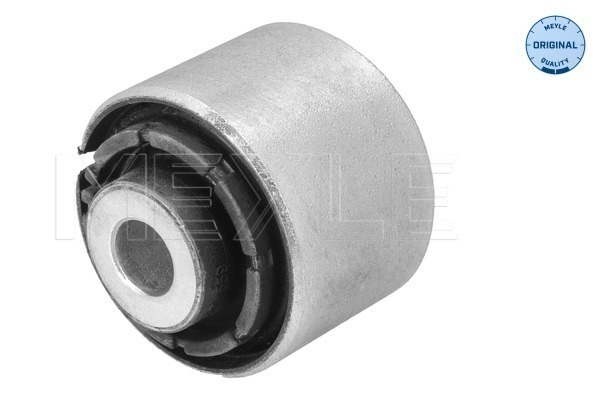 Mounting, control/trailing arm