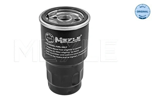 Fuel Filter (30-14 323 0002)