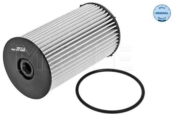 Fuel Filter (100 323 0004)