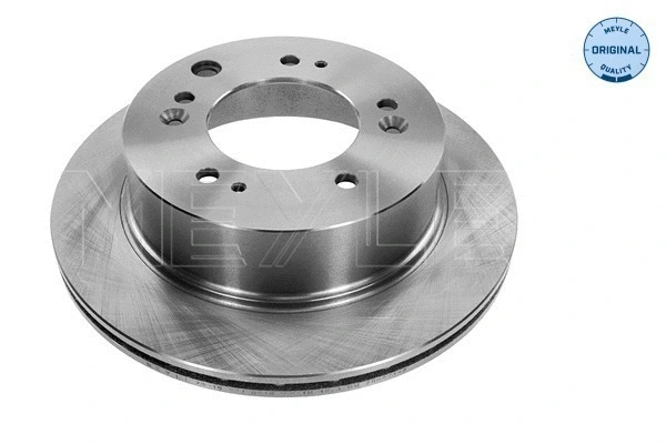 Brake Disc (28-15 523 0012)