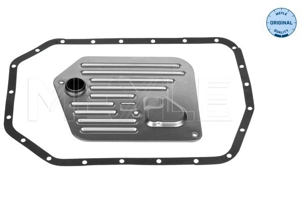 Hydraulic Filter Kit, automatic transmission (314 137 0001)