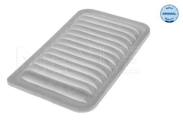 Air Filter (612 321 0010)