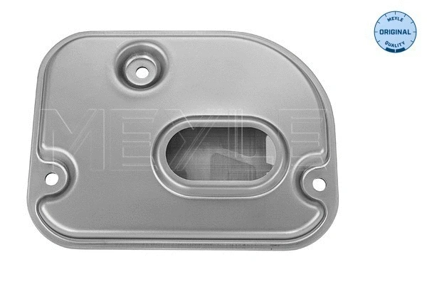 Hydraulic Filter, automatic transmission (100 325 0010)