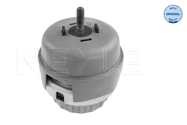 Mounting, engine (100 199 0173)