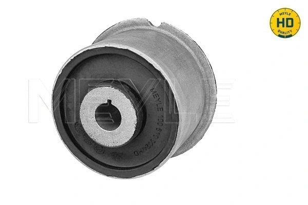 Mounting, control/trailing arm
