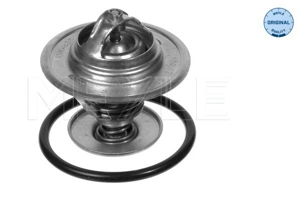 Thermostat, coolant (100 121 0048)