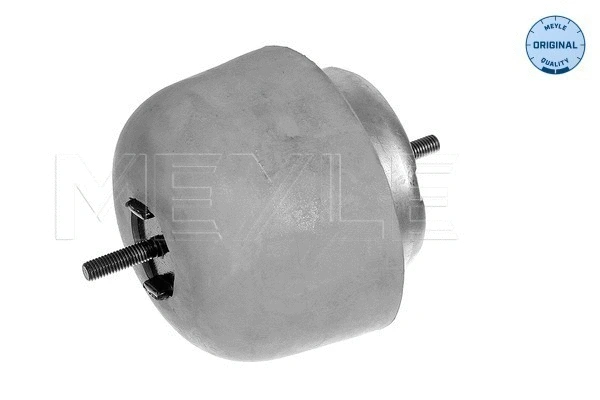 Mounting, engine (100 199 0056)