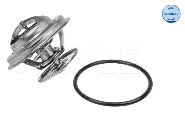 Thermostat, coolant (12-28 265 0001)