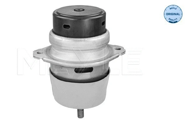 Mounting, engine