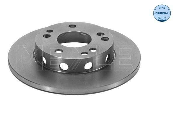 Brake Disc (015 521 2023)