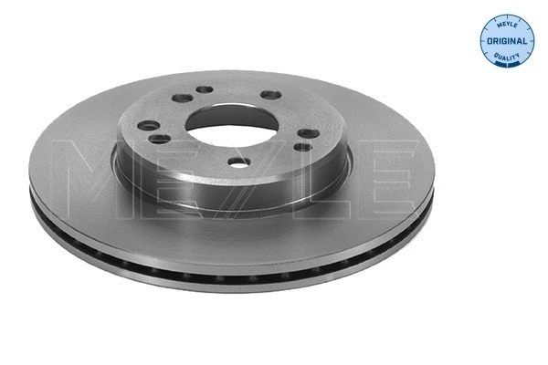 Brake Disc (015 521 2008)
