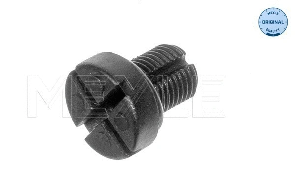 Breather Screw/Valve, radiator (314 238 0000)