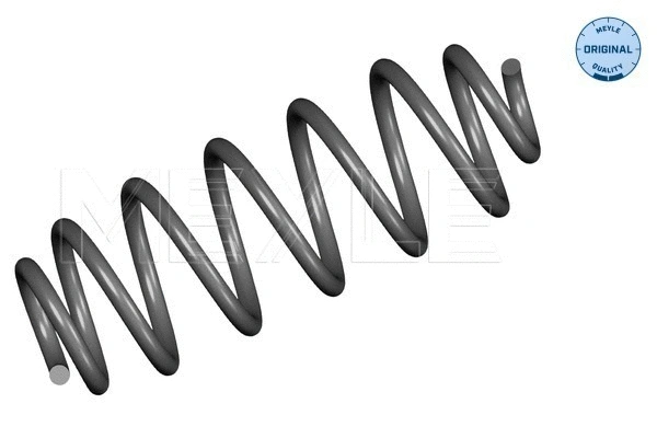 Suspension Spring (100 739 0044)