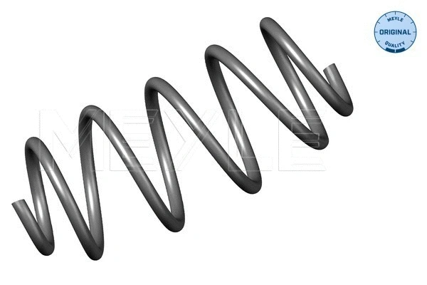 Suspension Spring (614 639 0018)