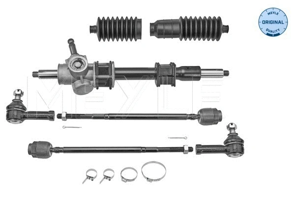 Steering Gear (100 500 0001)