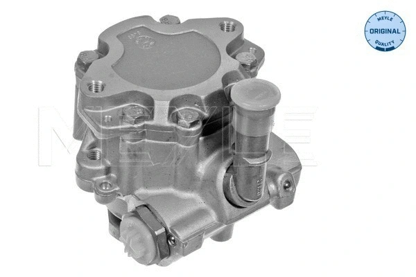 Hydraulic Pump, steering (114 631 0009)