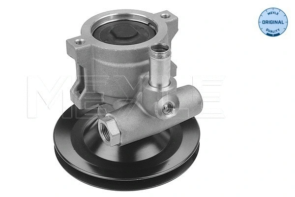 Hydraulic Pump, steering (614 631 0011)