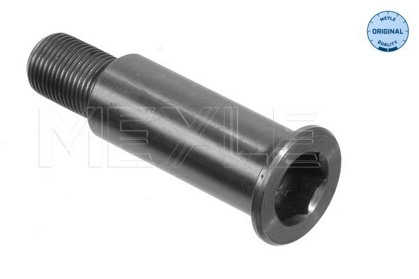 Bearing Journal, tensioner pulley lever (014 020 0070)