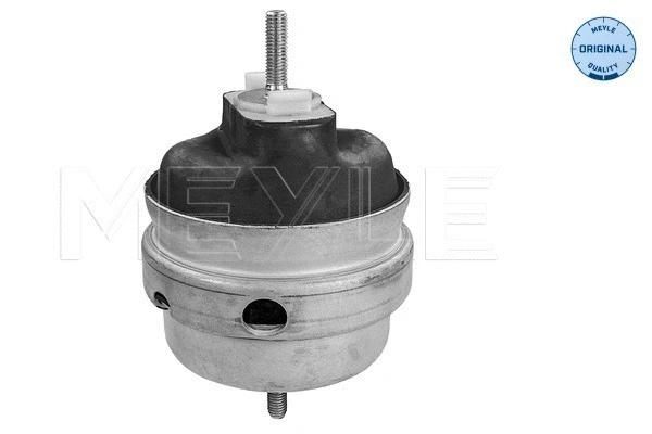 Mounting, engine