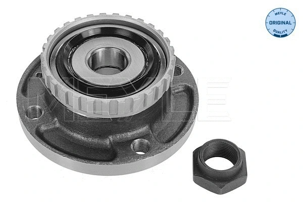 Wheel Hub (11-14 750 0031)