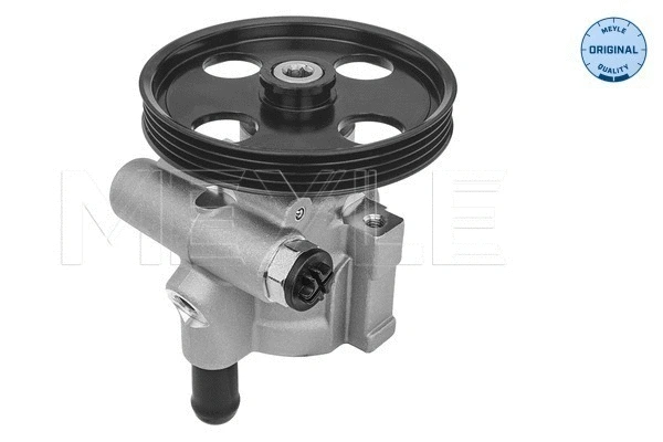 Hydraulic Pump, steering (16-16 631 0003)