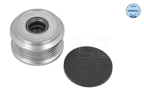 Alternator Freewheel Clutch (30-14 053 1004)