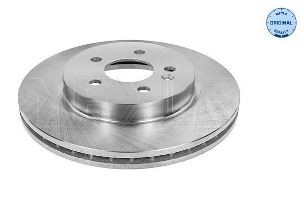 Brake Disc (015 521 2041)