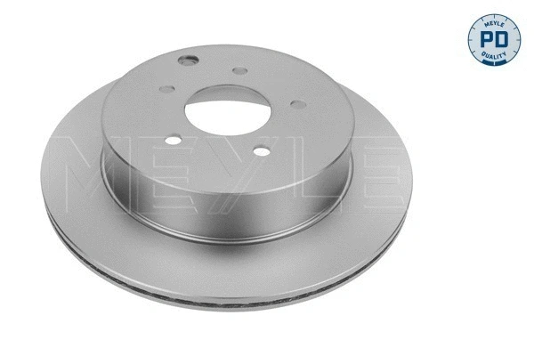Brake Disc (36-15 523 0051/PD)