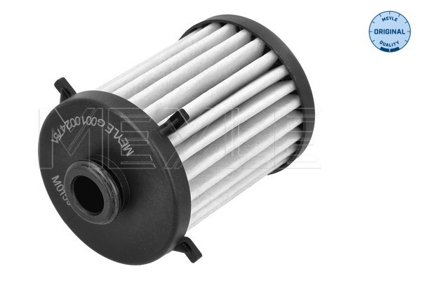 Hydraulic Filter, automatic transmission (100 136 1007)