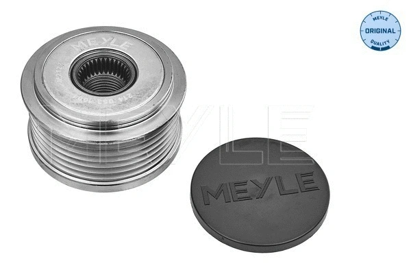 Alternator Freewheel Clutch (214 053 1004)