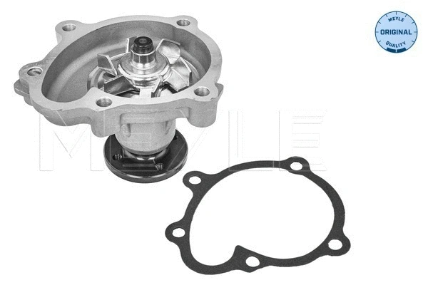 Water Pump, engine cooling (613 600 4121)