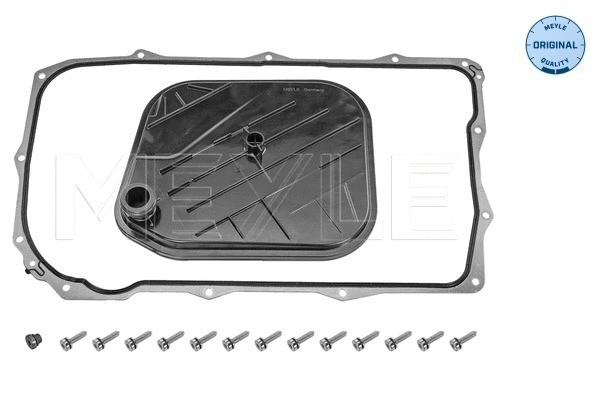 Hydraulic Filter Kit, automatic transmission (100 137 0011)