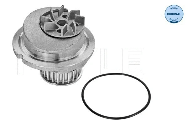 Water Pump, engine cooling (613 600 0001)