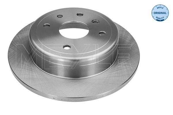 Brake Disc (29-15 523 0000)