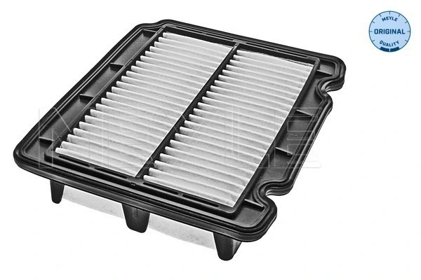 Air Filter (29-12 321 0001)