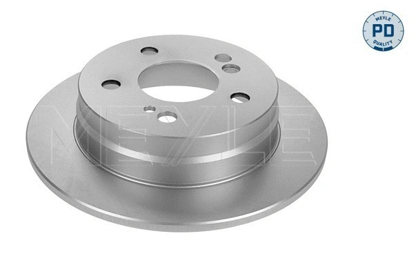 Brake Disc (015 523 0019/PD)