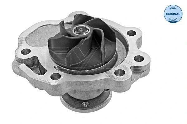 Water Pump, engine cooling (613 220 0008)