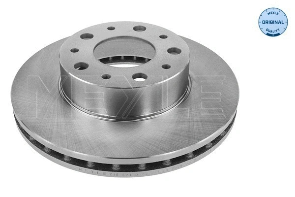 Brake Disc (215 521 0029)