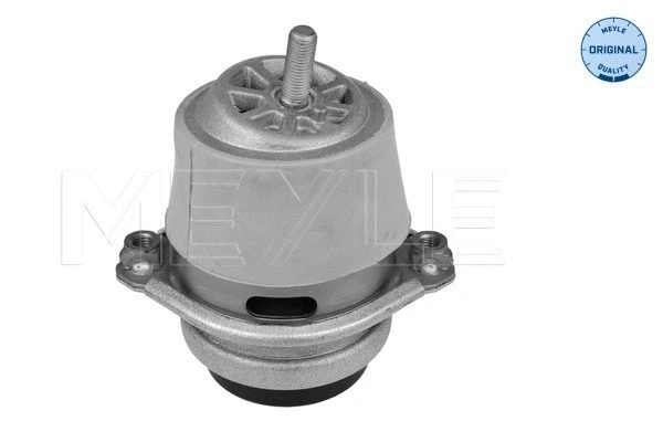 Mounting, engine