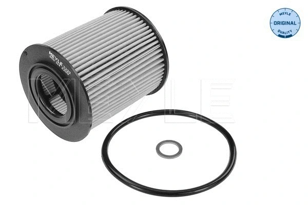 Oil Filter (300 114 2200)