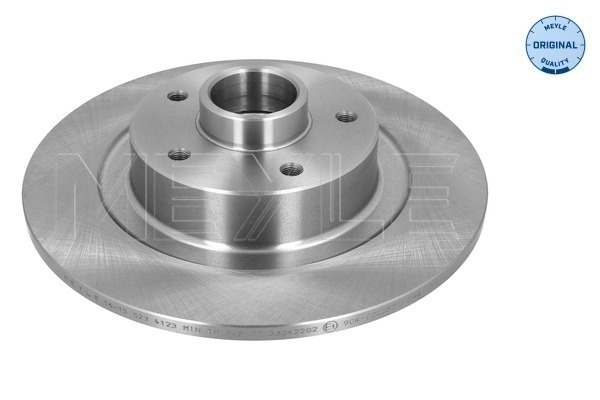Brake Disc (16-15 523 4123)