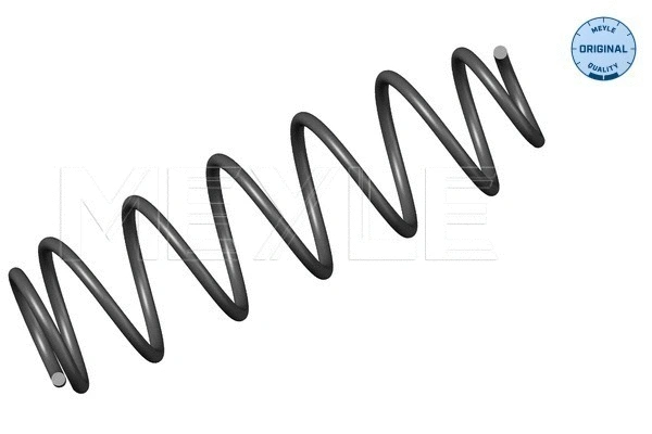 Suspension Spring (16-14 739 0002)